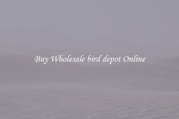 Buy Wholesale bird depot Online