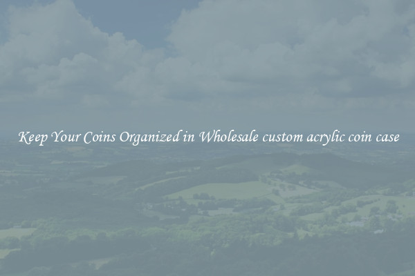 Keep Your Coins Organized in Wholesale custom acrylic coin case