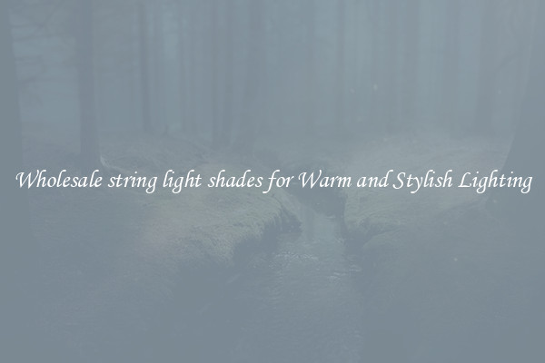 Wholesale string light shades for Warm and Stylish Lighting