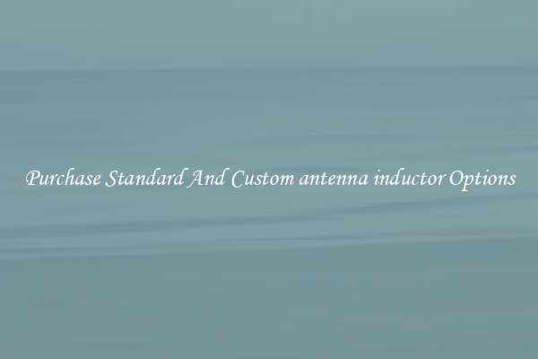 Purchase Standard And Custom antenna inductor Options