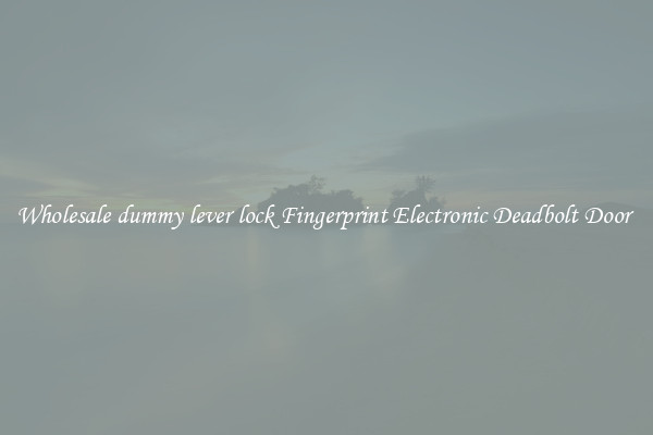 Wholesale dummy lever lock Fingerprint Electronic Deadbolt Door 