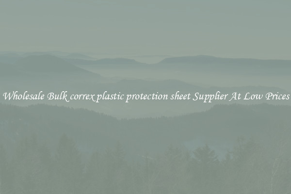 Wholesale Bulk correx plastic protection sheet Supplier At Low Prices