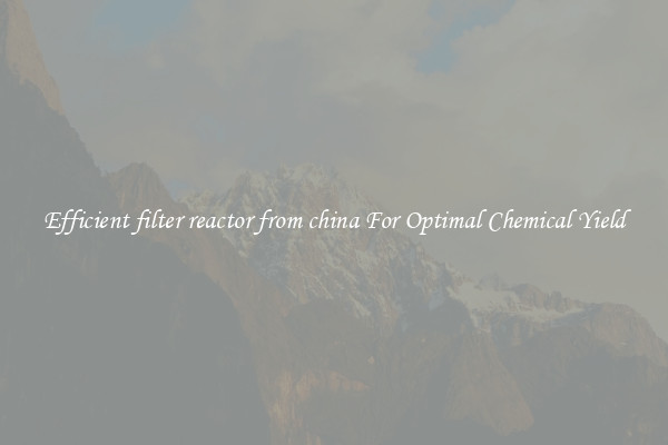 Efficient filter reactor from china For Optimal Chemical Yield