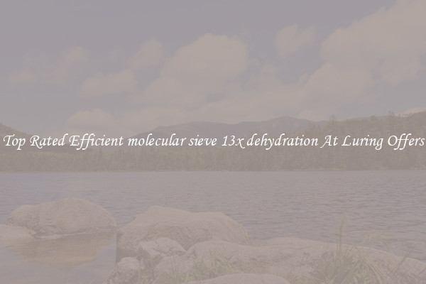 Top Rated Efficient molecular sieve 13x dehydration At Luring Offers