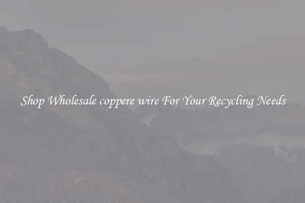 Shop Wholesale coppere wire For Your Recycling Needs
