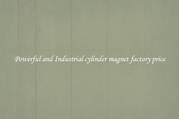 Powerful and Industrial cylinder magnet factory price