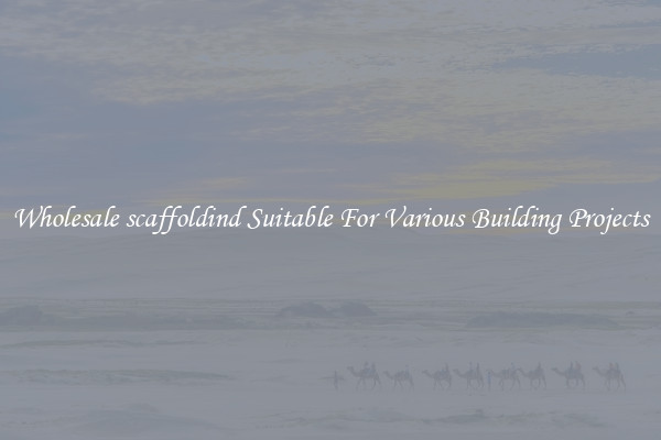Wholesale scaffoldind Suitable For Various Building Projects