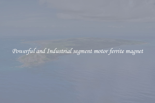 Powerful and Industrial segment motor ferrite magnet
