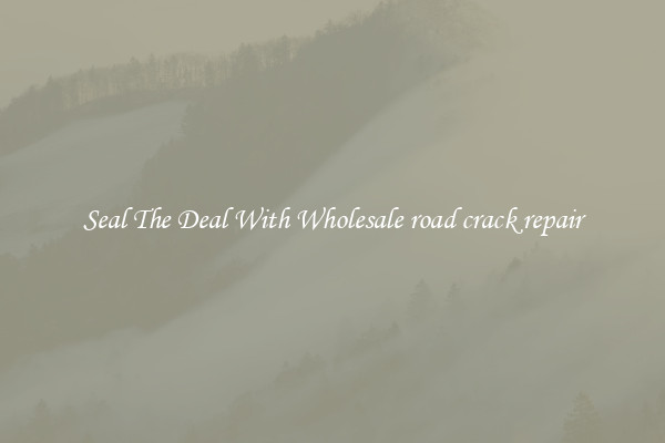 Seal The Deal With Wholesale road crack repair