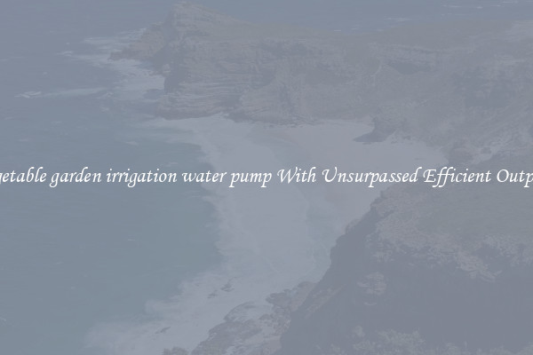 vegetable garden irrigation water pump With Unsurpassed Efficient Outputs