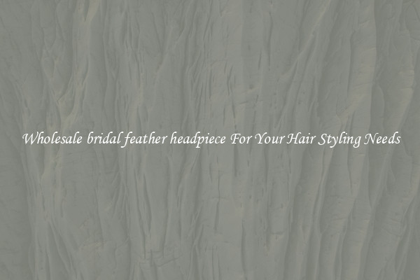 Wholesale bridal feather headpiece For Your Hair Styling Needs
