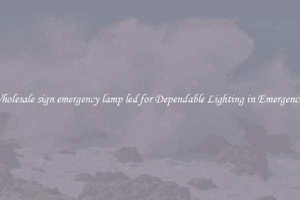 Wholesale sign emergency lamp led for Dependable Lighting in Emergencies