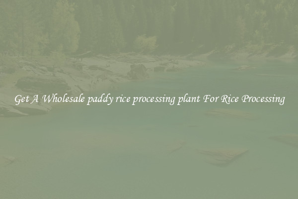 Get A Wholesale paddy rice processing plant For Rice Processing