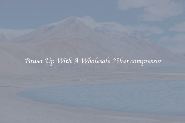 Power Up With A Wholesale 25bar compressor