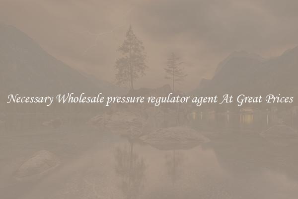 Necessary Wholesale pressure regulator agent At Great Prices