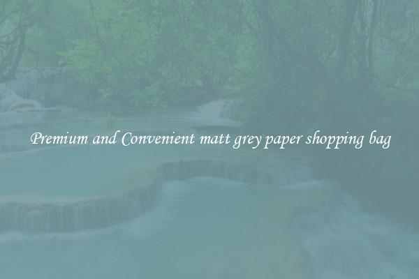 Premium and Convenient matt grey paper shopping bag