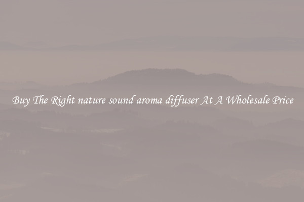 Buy The Right nature sound aroma diffuser At A Wholesale Price