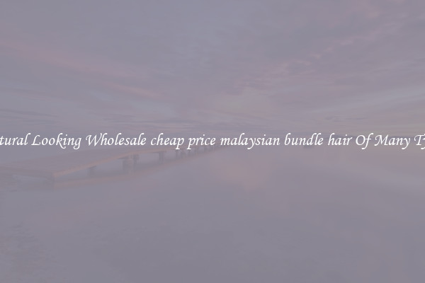 Natural Looking Wholesale cheap price malaysian bundle hair Of Many Types