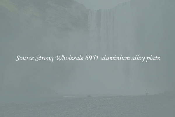 Source Strong Wholesale 6951 aluminium alloy plate