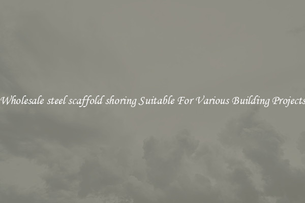 Wholesale steel scaffold shoring Suitable For Various Building Projects